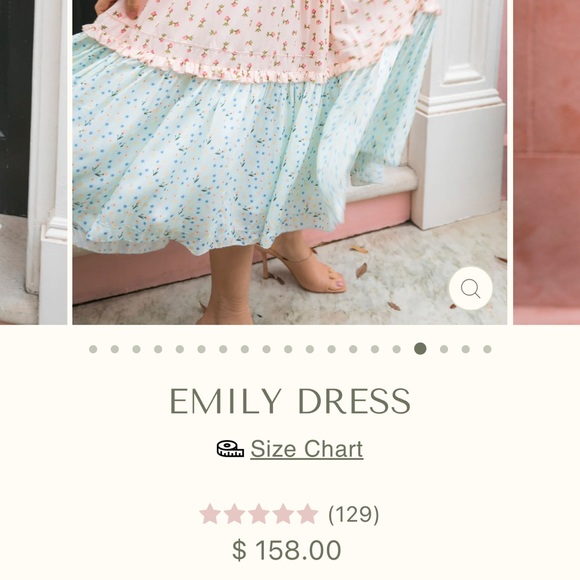 Ivy city Emily dress XS - NWT - Picture 5 of 5